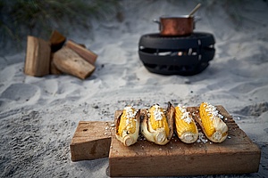 Udendørs bålfad med grillrist. Grill på stranden med Aduro Fireball.